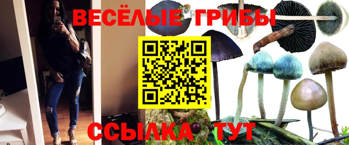 где купить наркотик  Псилоцибиновые грибы ЛСД  Вход с VPN  Обнинск 